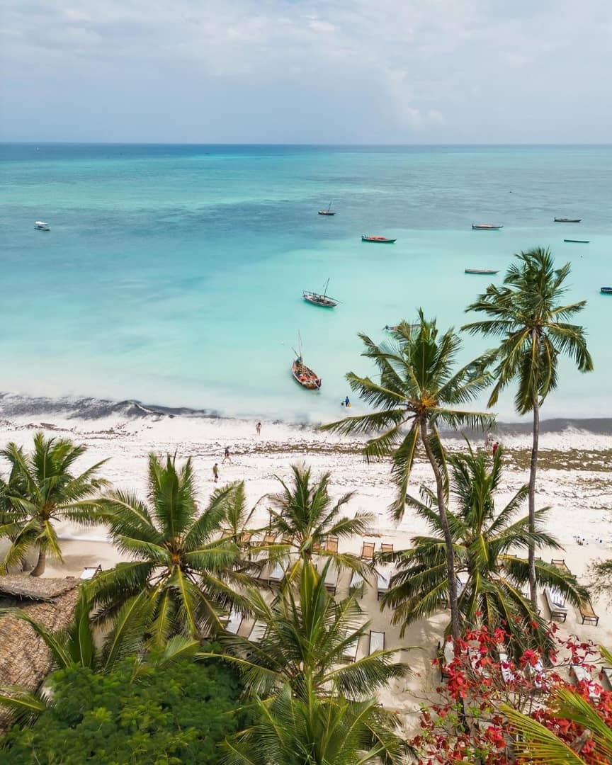 What Not to Do in Zanzibar